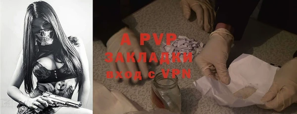 СК Вяземский