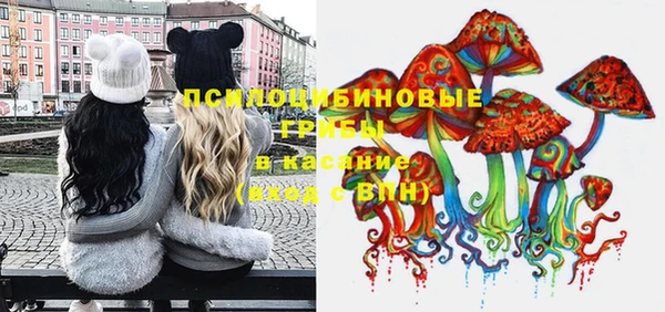 СК Вяземский